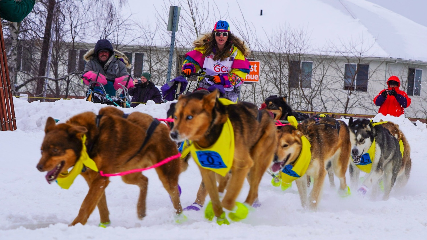DGM Scouts the 2020 Iditarod for an Interaction Design Project