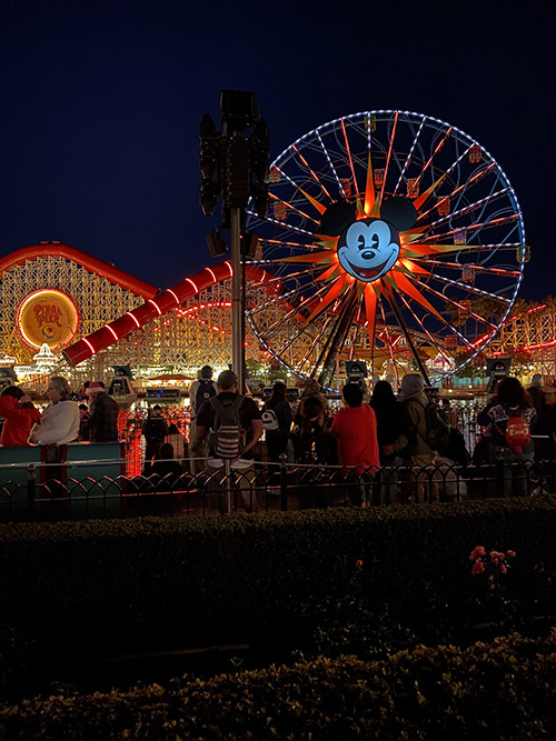 Ferris Wheel at California Adventure