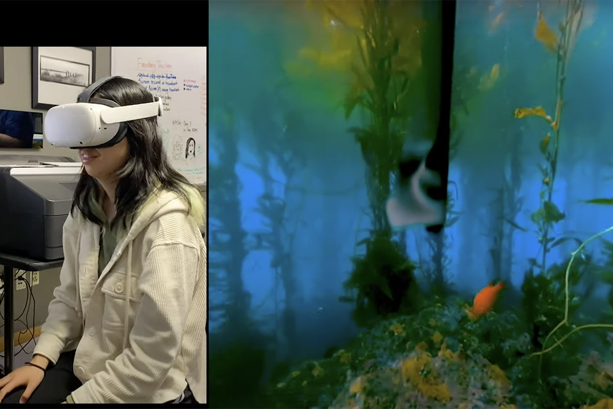 Channel Islands Virtual Tours Project