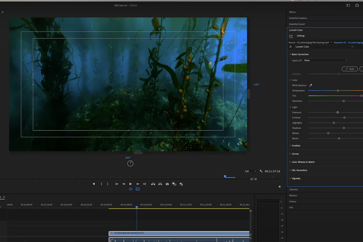 color grading software editing an image of an underwater reef