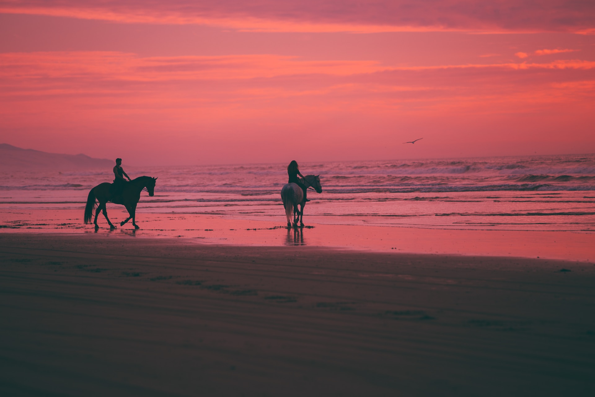 A picture of a beach at sunset.