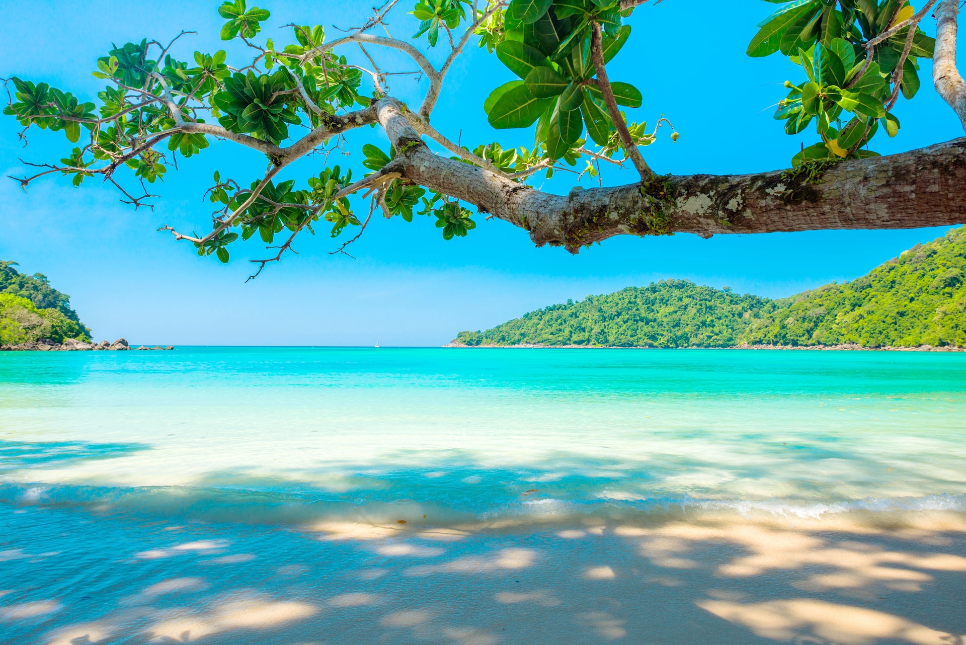 A beach in Rio, Brazil.