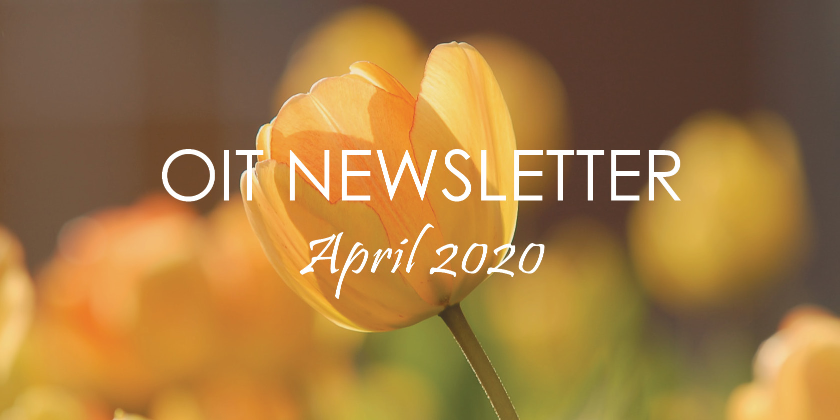 Office of Information Technology April Newsletter 2020