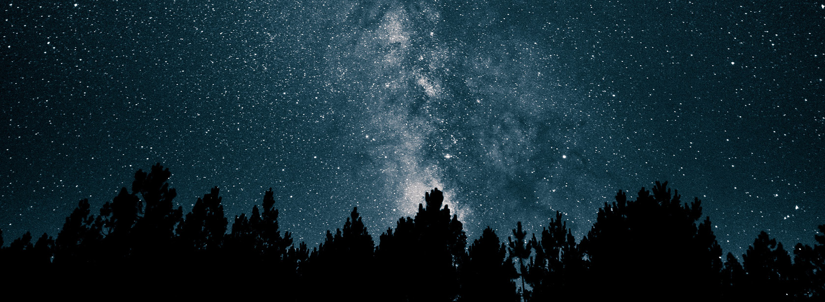 A starry night sky over a dark forest.
