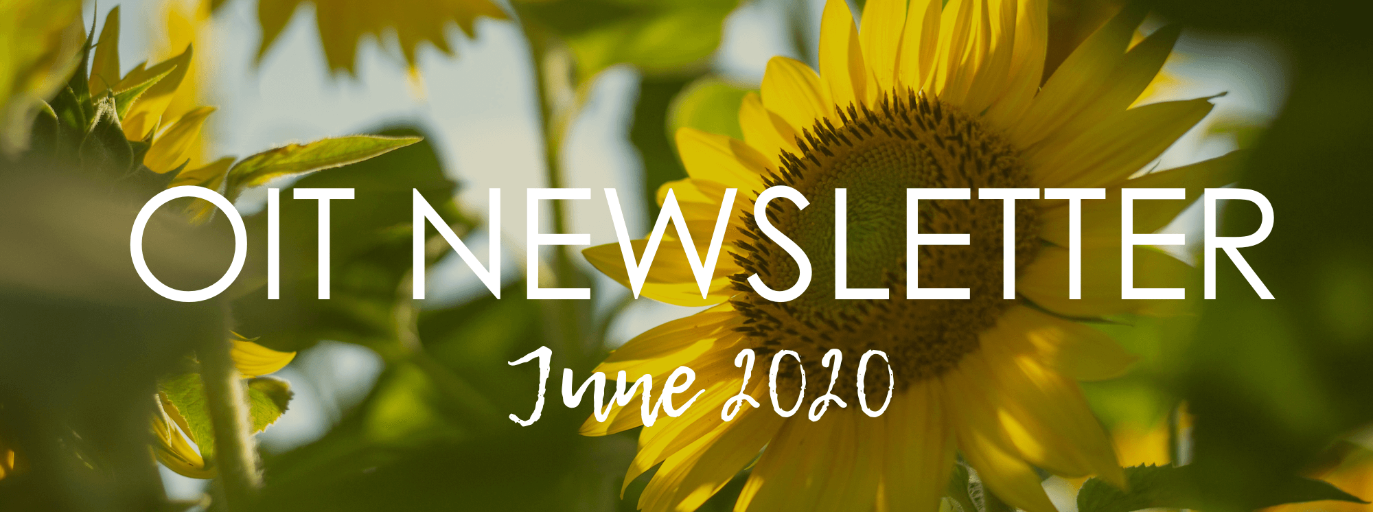 Office of Information Technology June 2020 Newsletter