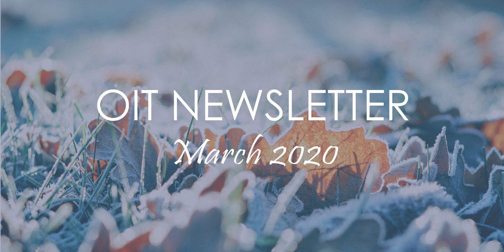Office of Information Technology March Newsletter 2020