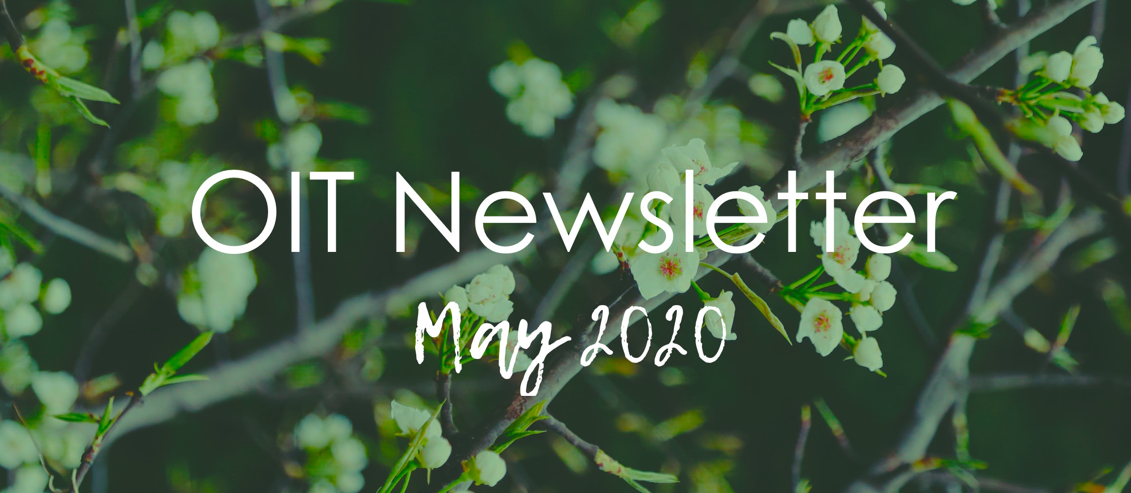 Office of Information Technology May Newsletter 2020