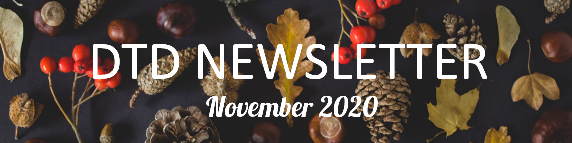 Digital Transformation Division Newsletter - November 2020