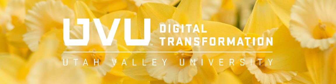 The Digital Transformation Division Newsletter - May 2021