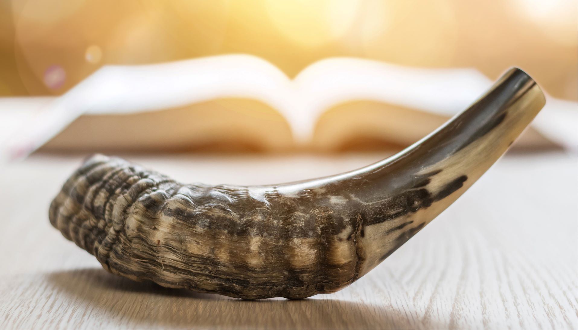 A yom kippur horn. 