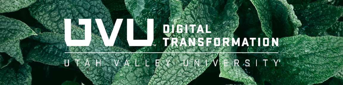 The Digital Transformation Division Newsletter - May 2022