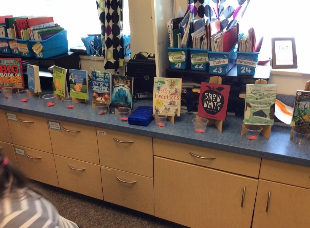 Books that students could choose for the raffle