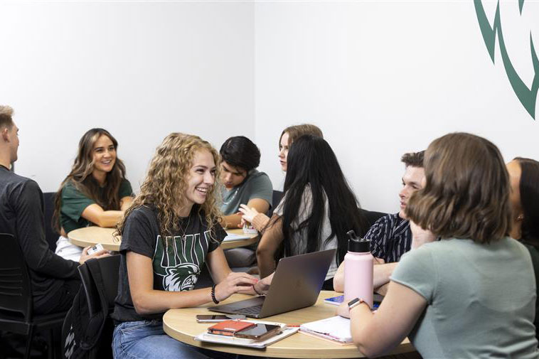 Image of a group of people listening to their peer at a table
