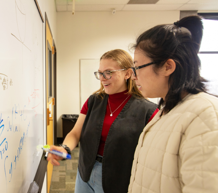 SI leader writing notes on a board in front of a student