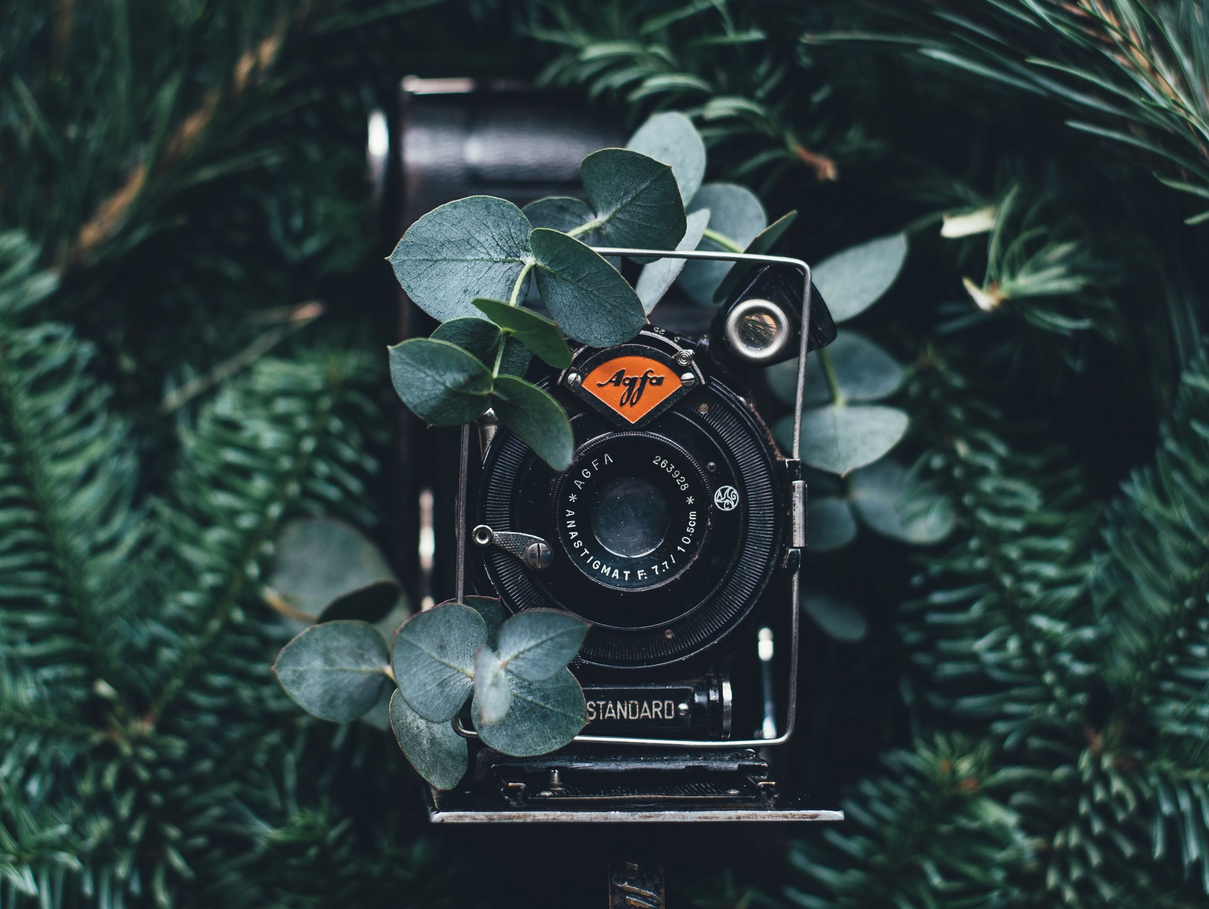 Old camera in the forest - Photo by Annie Spratt on Unsplash