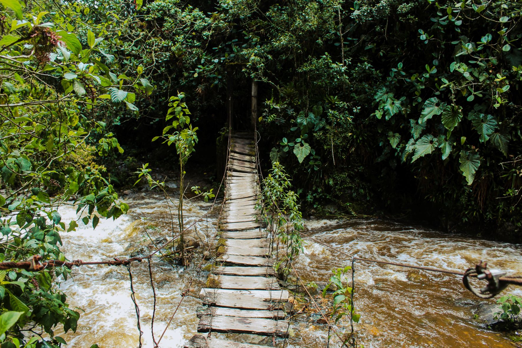 Water under wooden bridge