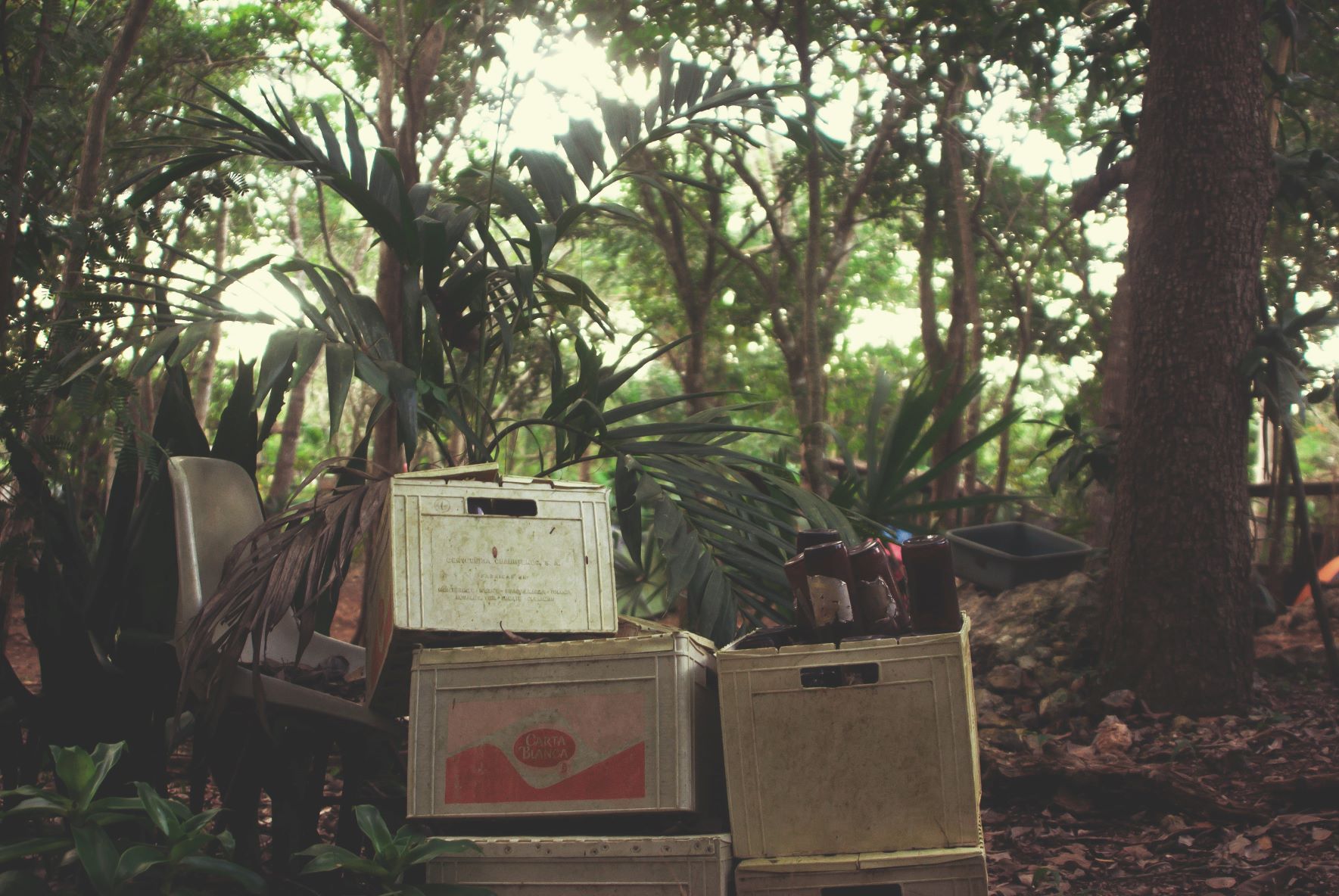 Trash in a jungle - image by Jorge Zapata from Unsplash