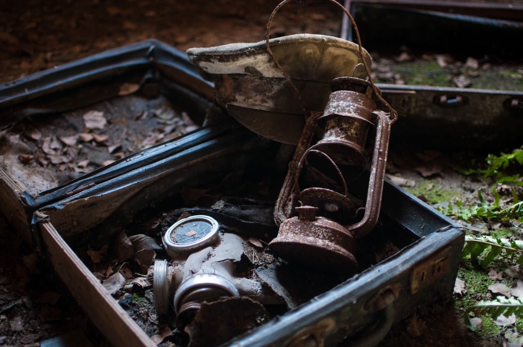 Old Suitcase and Lamp in the Jungle - Photo by Nathan Wright on Unsplash