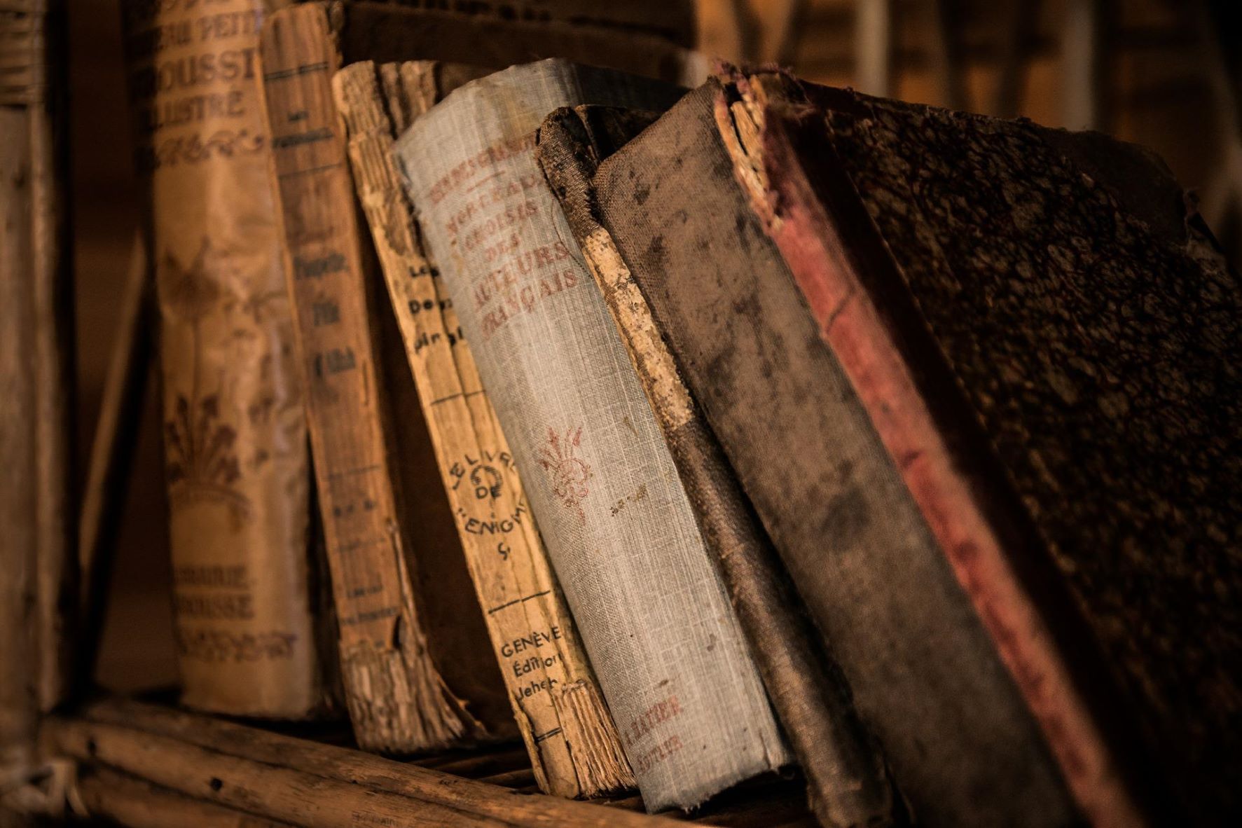 Old Books - Image by Michal Jarmoluk from Pixabay 