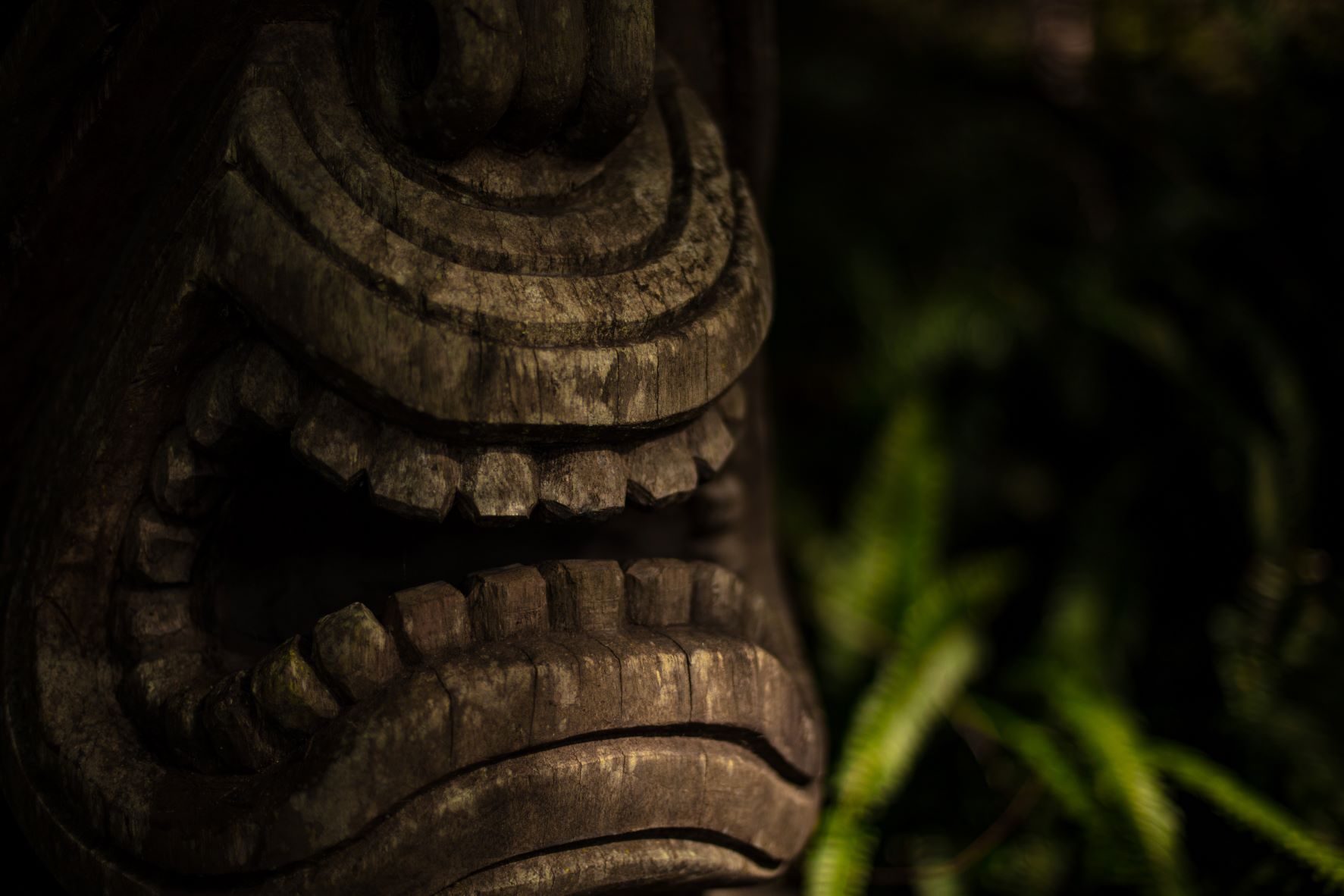 Wooden totem in the forest - Photo by Patrick Hendry on Unsplash