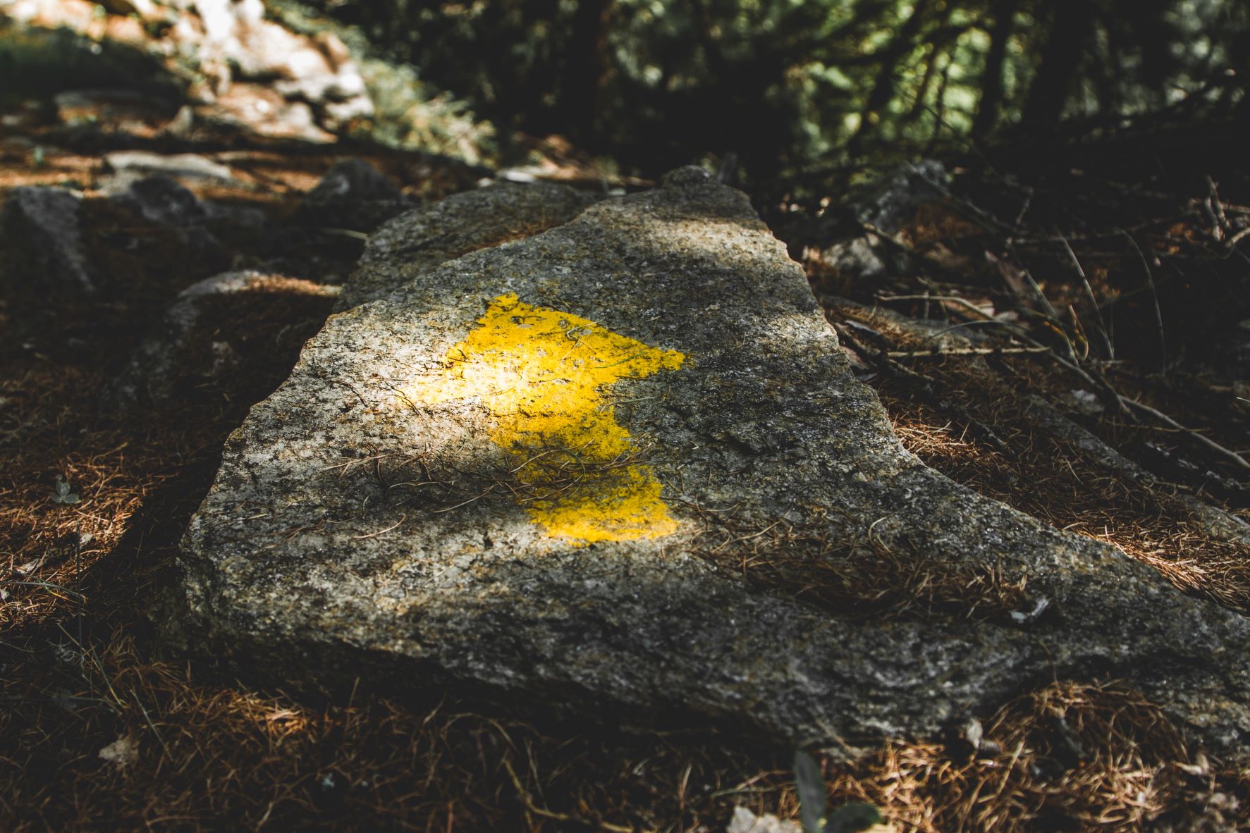 Yellow arrow painted on gray stone - Image by Nicholas Demetriades from Pixabay
