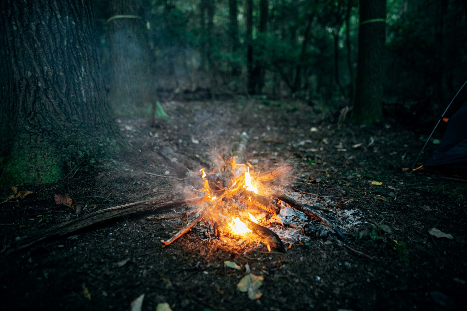 Burning bonefire in forest - Image by Kelly L from Pexel