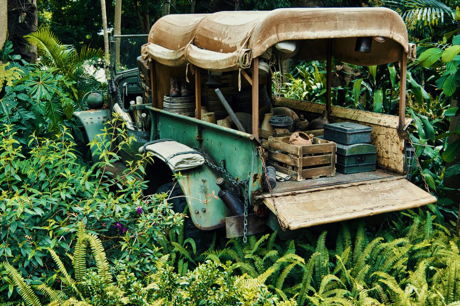 Old Vehicle with Supplies in Jungle
