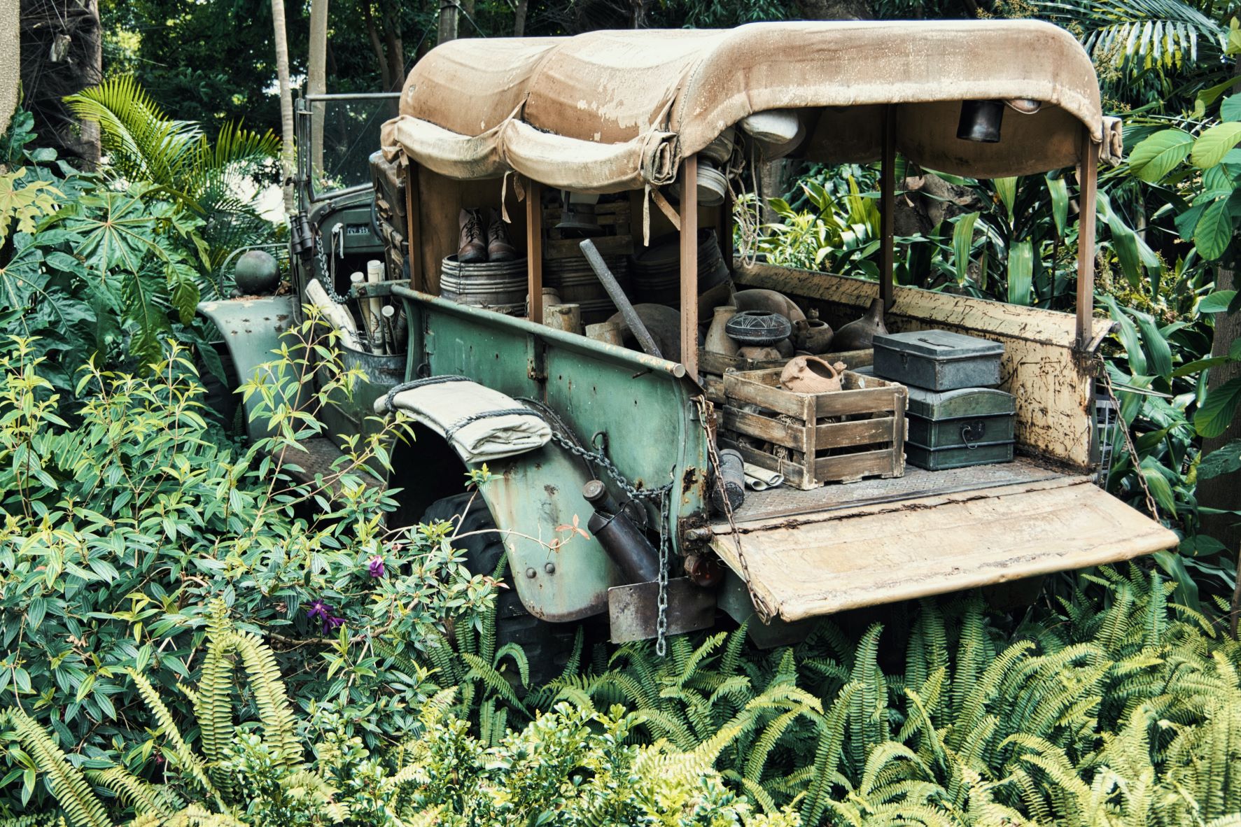Old truck with supplies in the back in the jungle