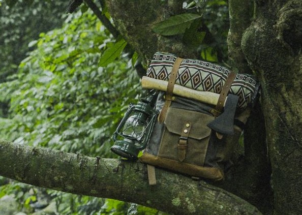 Backpack on a Tree Branch - Photo by Tan Danh