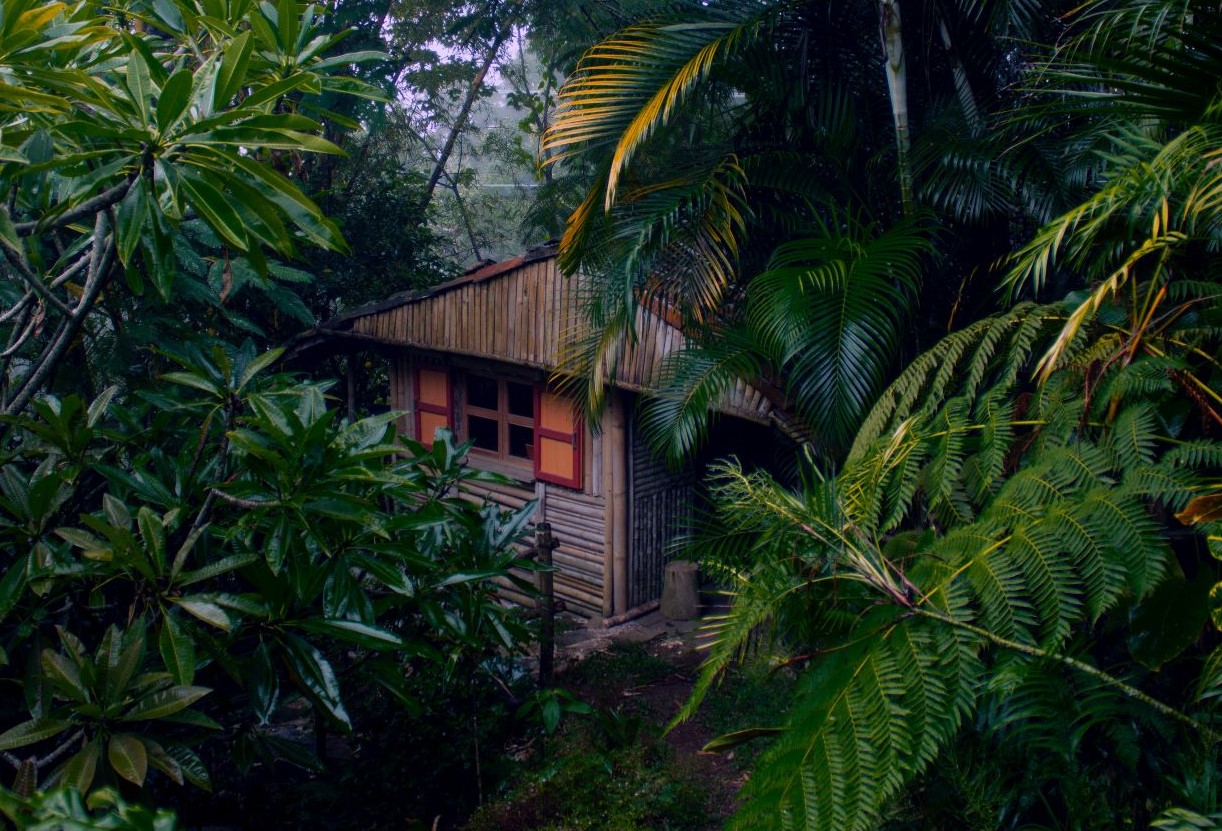 Wooden house in the jungle - Image by Gary Lewis from Pixabay 