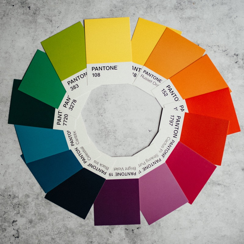 Wheel of color sample papers