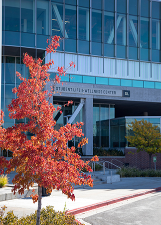 campus in fall