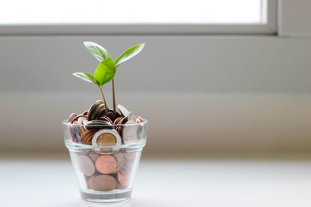 plant growing in a pot full of assorted coins
