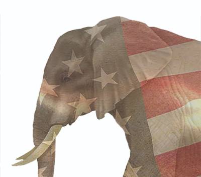 Image of an elephant with the American flag superimposed