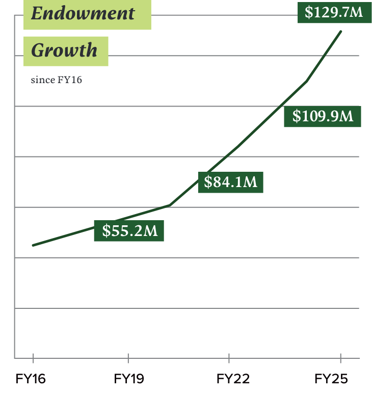 line graph showing the yearly increases of endowmnet growth