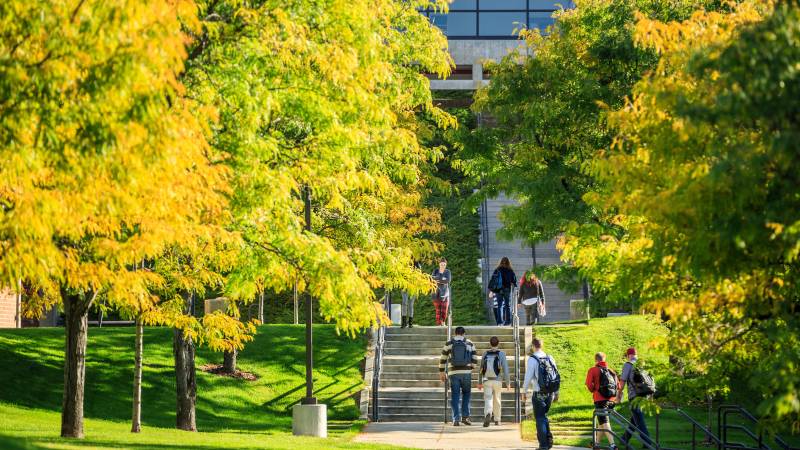 Students walking into building under tree canopy.