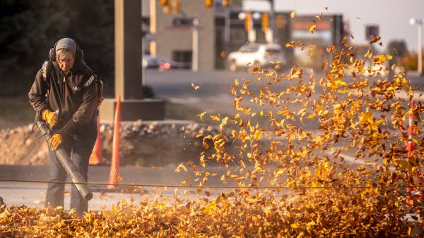 Person using leaf blower to clear leaves in the fall.