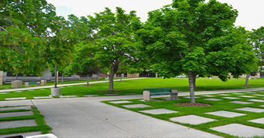 Grounds and Landscape