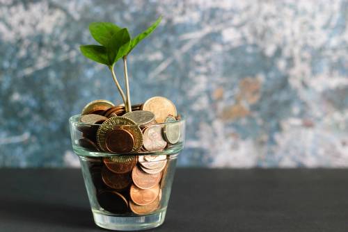 Cup with pennies as the soil