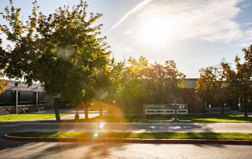 Campus picture with trees and sun