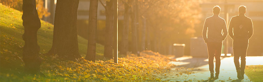 Two people walking into the sunset on the sidewalk.