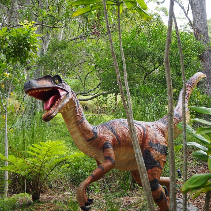 drawing of a velociraptor