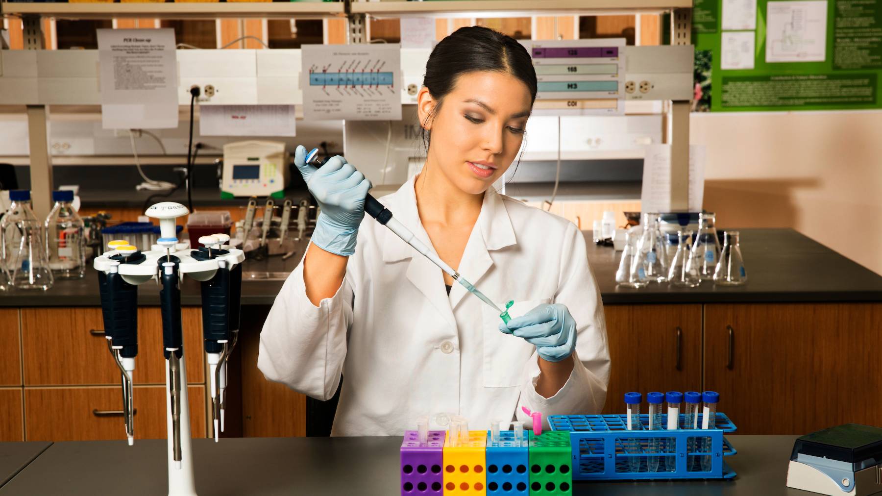 Student working in a lab.