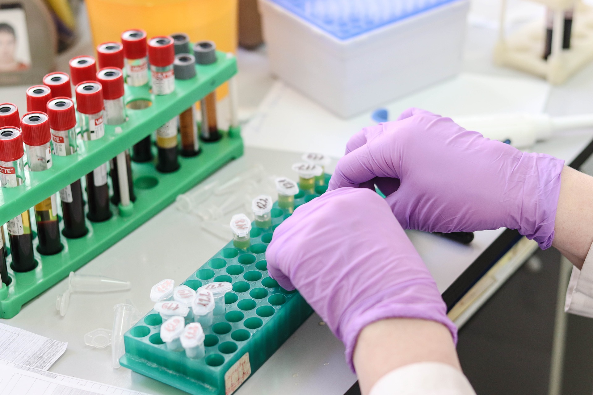 Hands arranging tubes in a lab