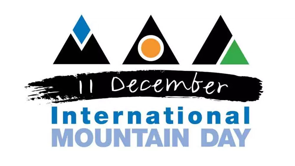 IMD 2011