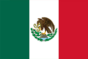 Mexican Flag