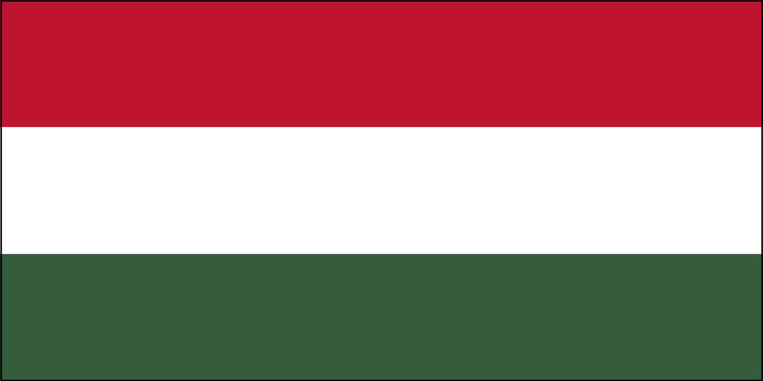 Hungary Flag