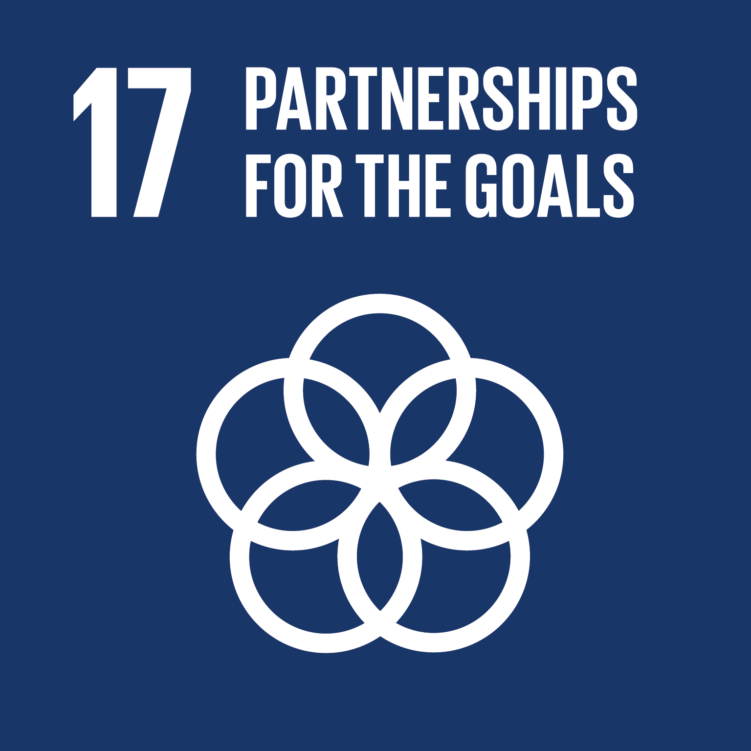 SDG Goal 17 -Partnerships for the Goals