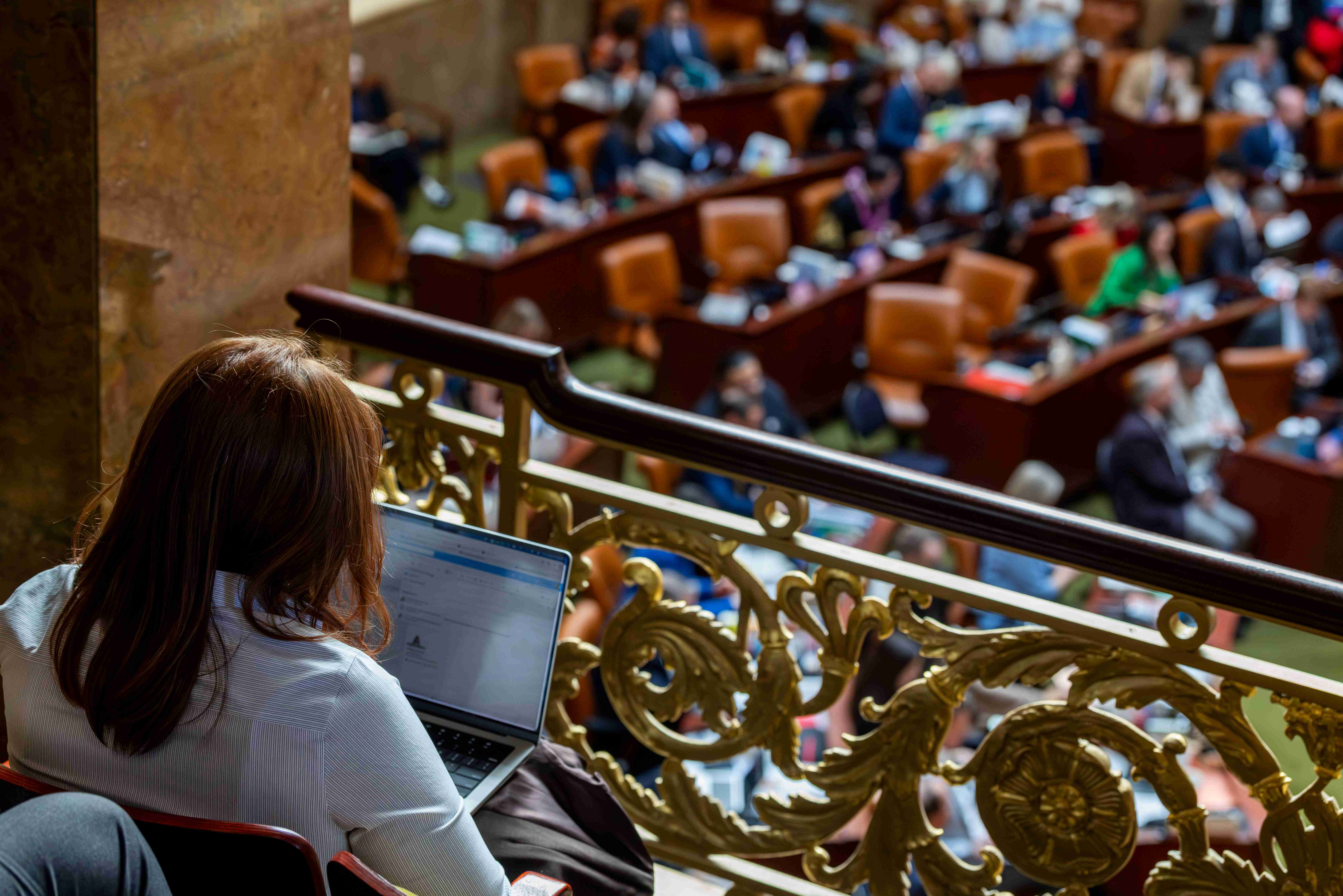 Legislative intern taking notes overlooking a live session