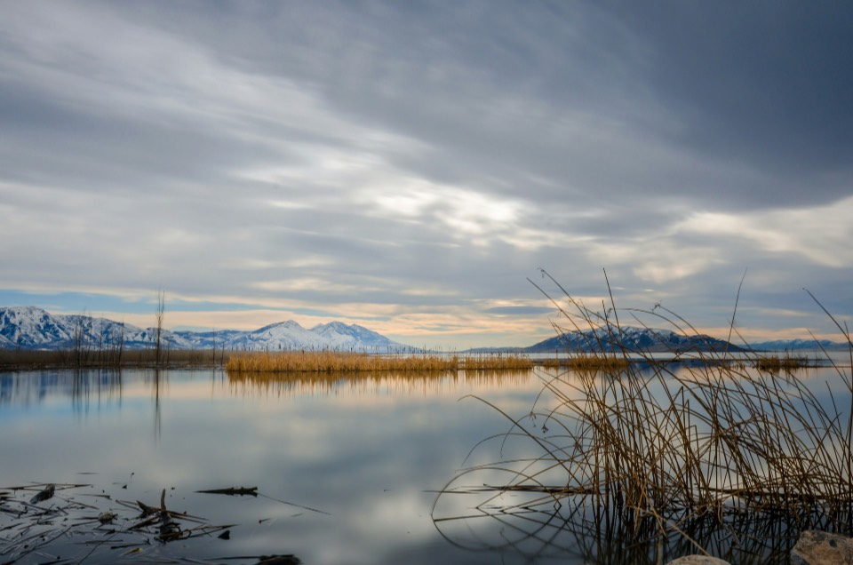 Water conservation policy research